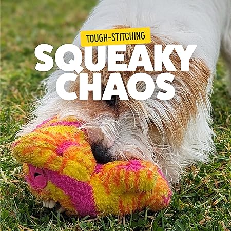 Fuggler Dog Toys - Old Tooth