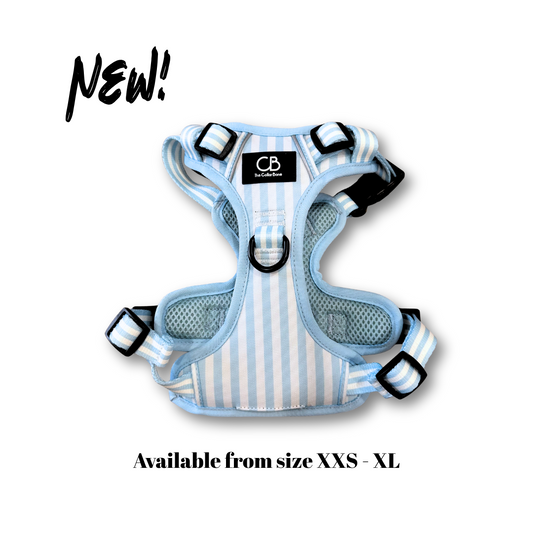 Oxford Active No-Pull Harness in Coastal Blue (Stripes)