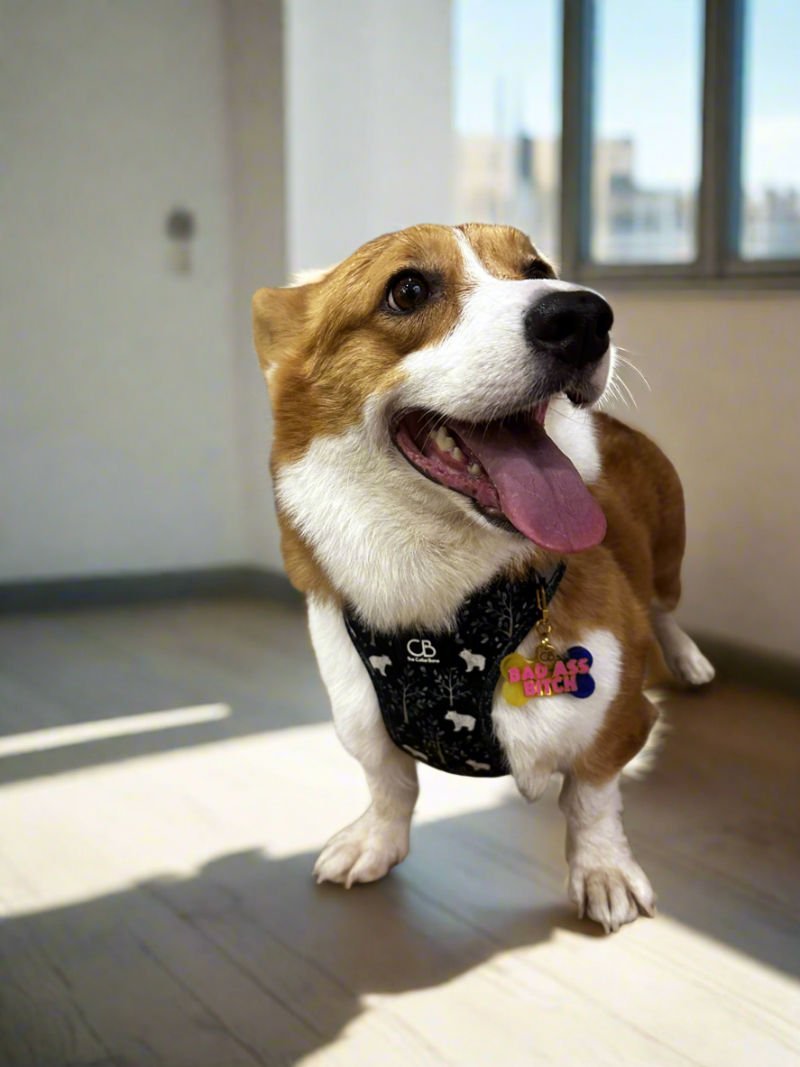 Teeny Step-In Vest/Harness in Brisk Bear