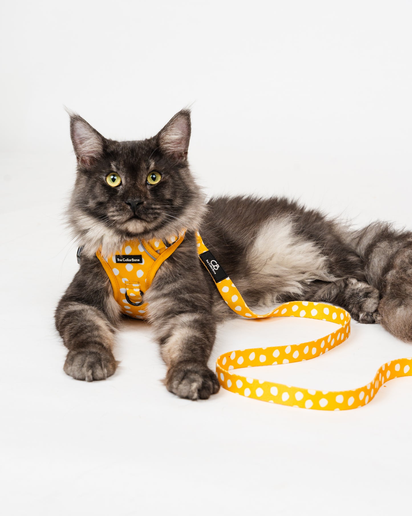 Oxford Active No-Pull Harness in Mustard & Mayo