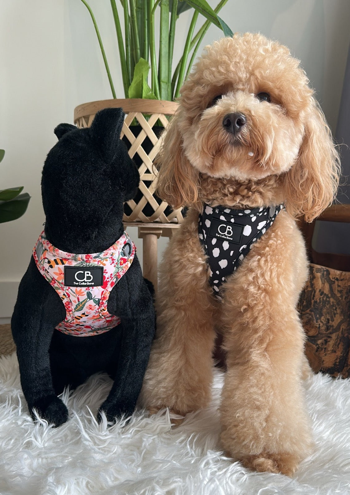 Teeny Step-In Vest/Harness in Spots
