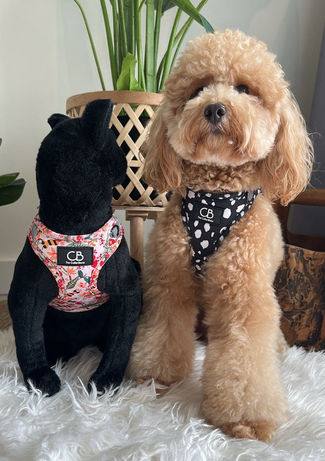 Teeny Step-In Vest/Harness in Busy Bee