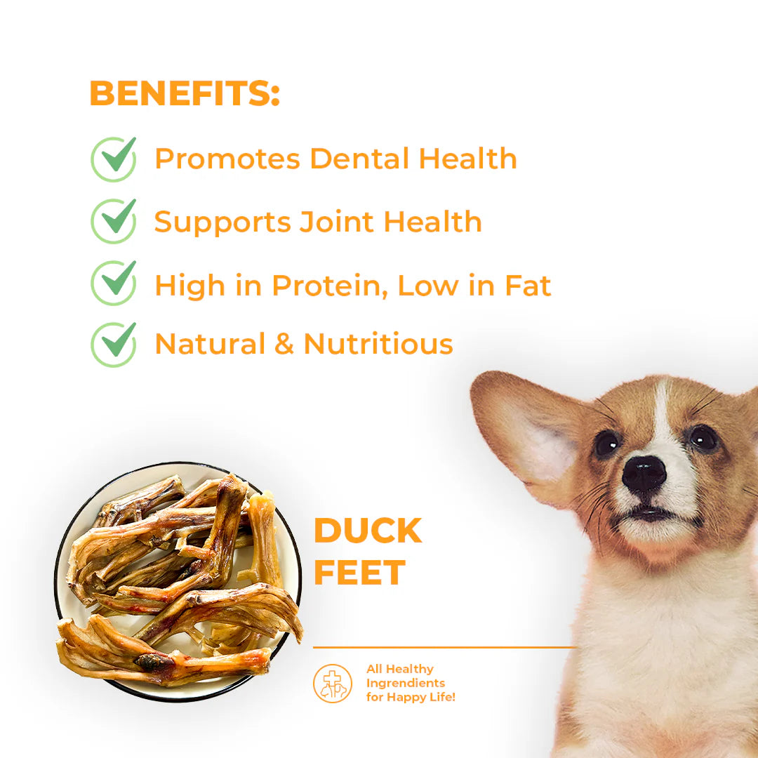 Barkery Oven Duck Feet (6 Pieces)