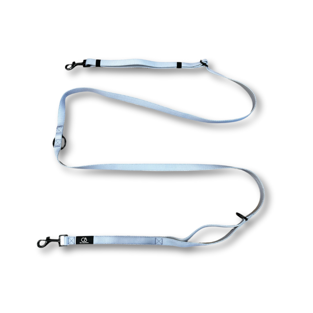Brighton Multiway Handsfree Leash in Lavender Haze