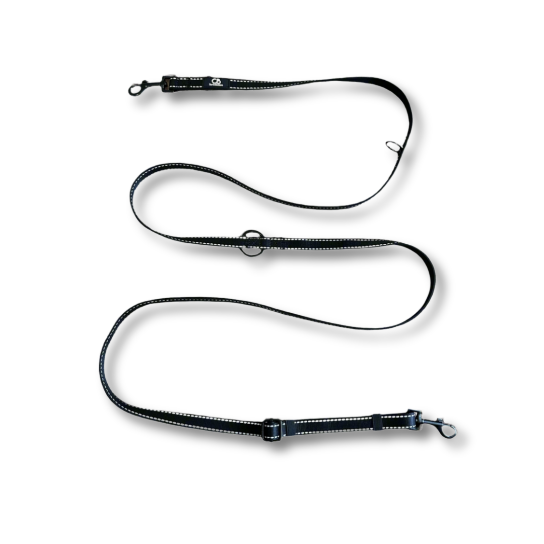 Brighton Multiway Handsfree Leash with Reflective Stitch in Black