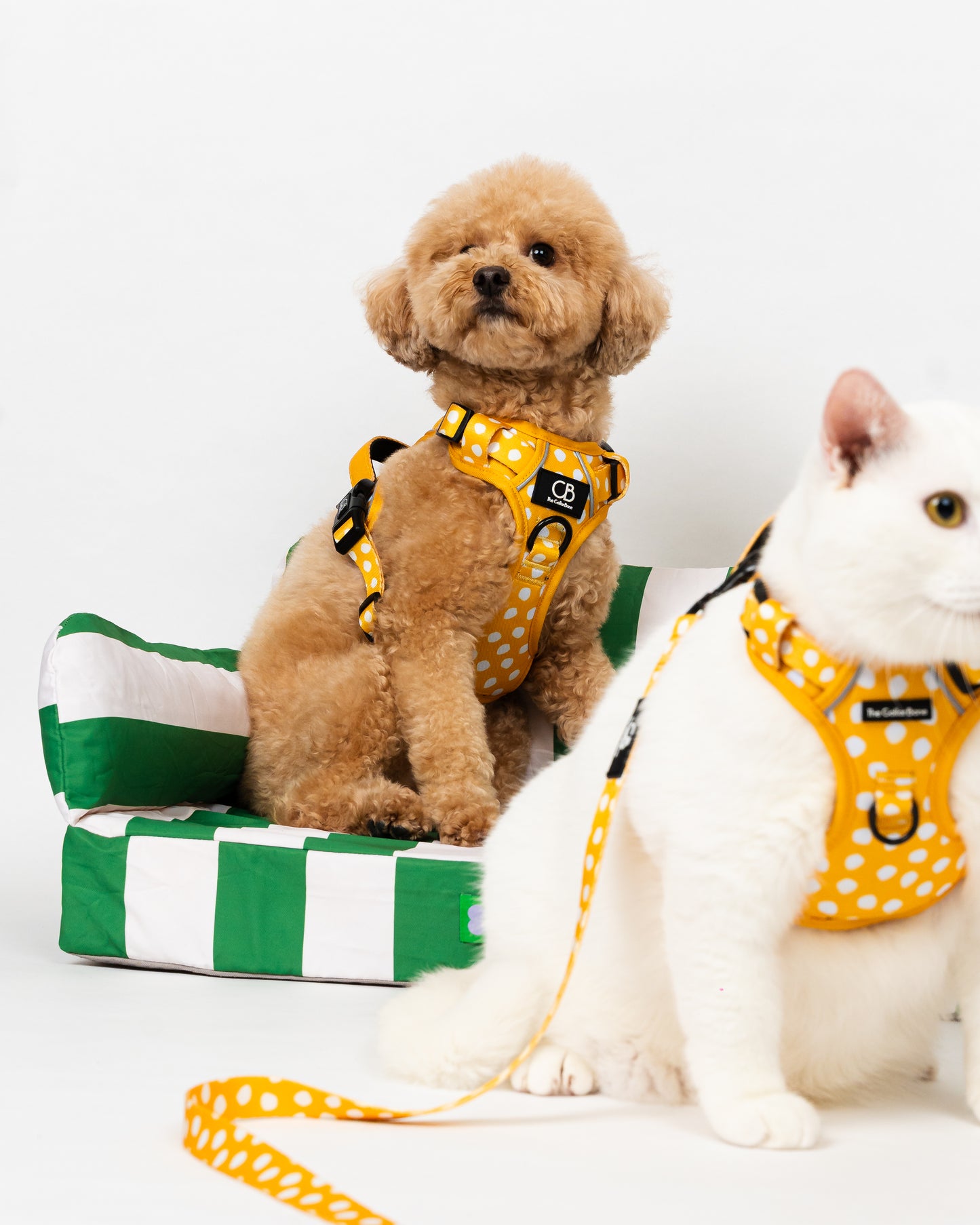 Oxford Active No-Pull Harness in Mustard & Mayo
