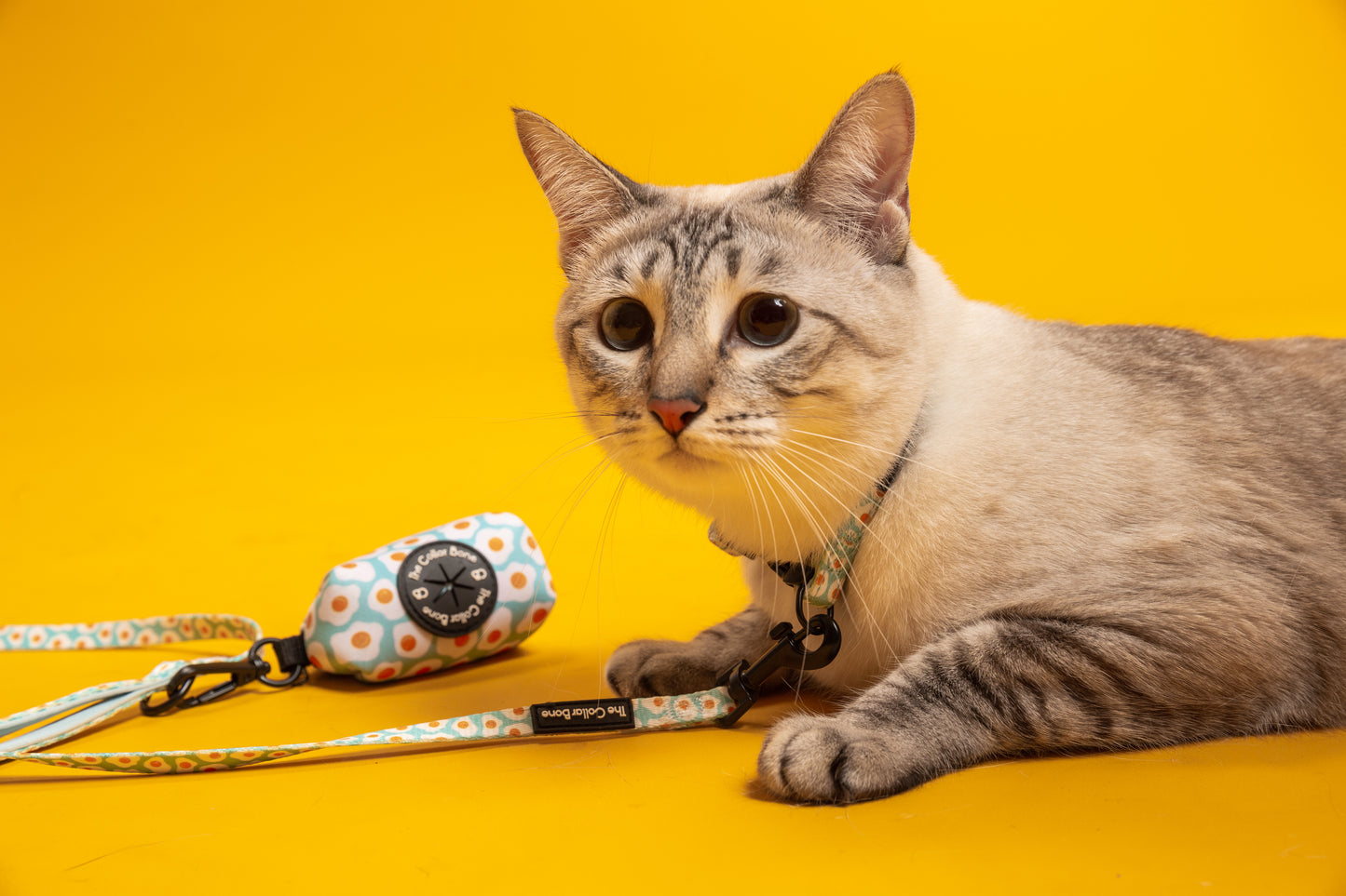 Halston Adjustable Pet Collar in Sunny Side-Up