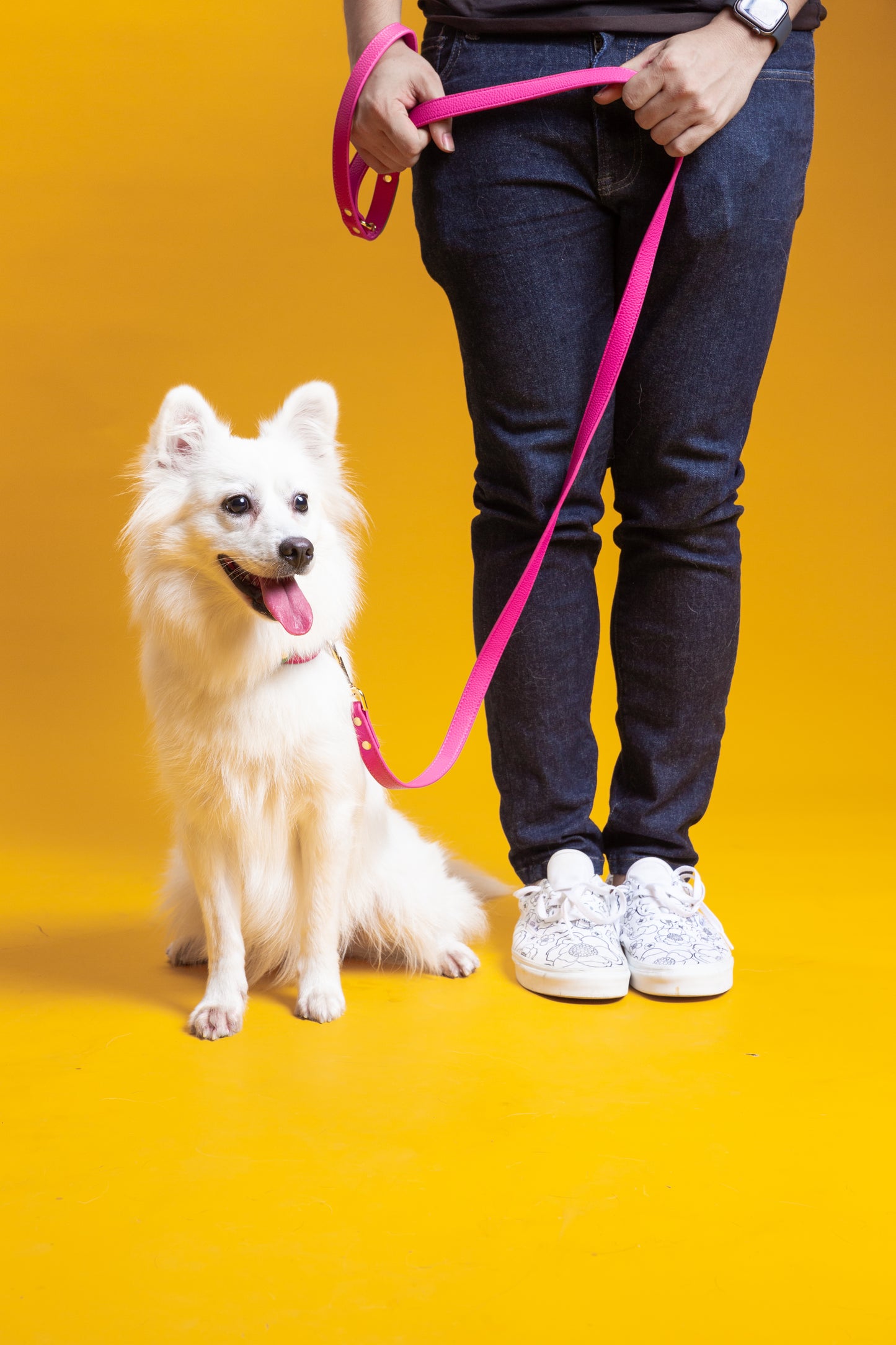 Zuri Faux Leather Cat/Dog Leash in Hot Pink
