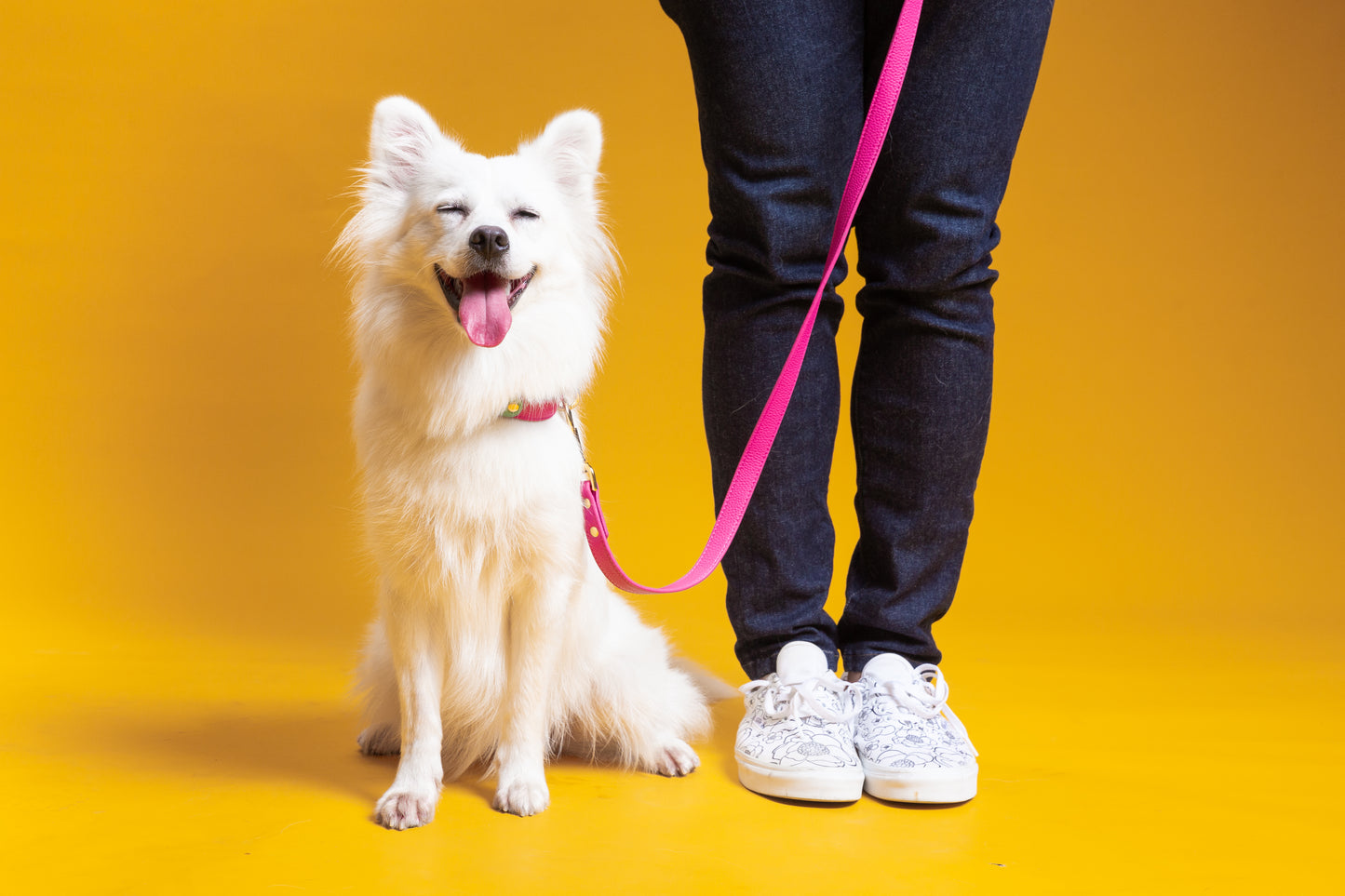 Zuri Faux Leather Cat/Dog Leash in Hot Pink