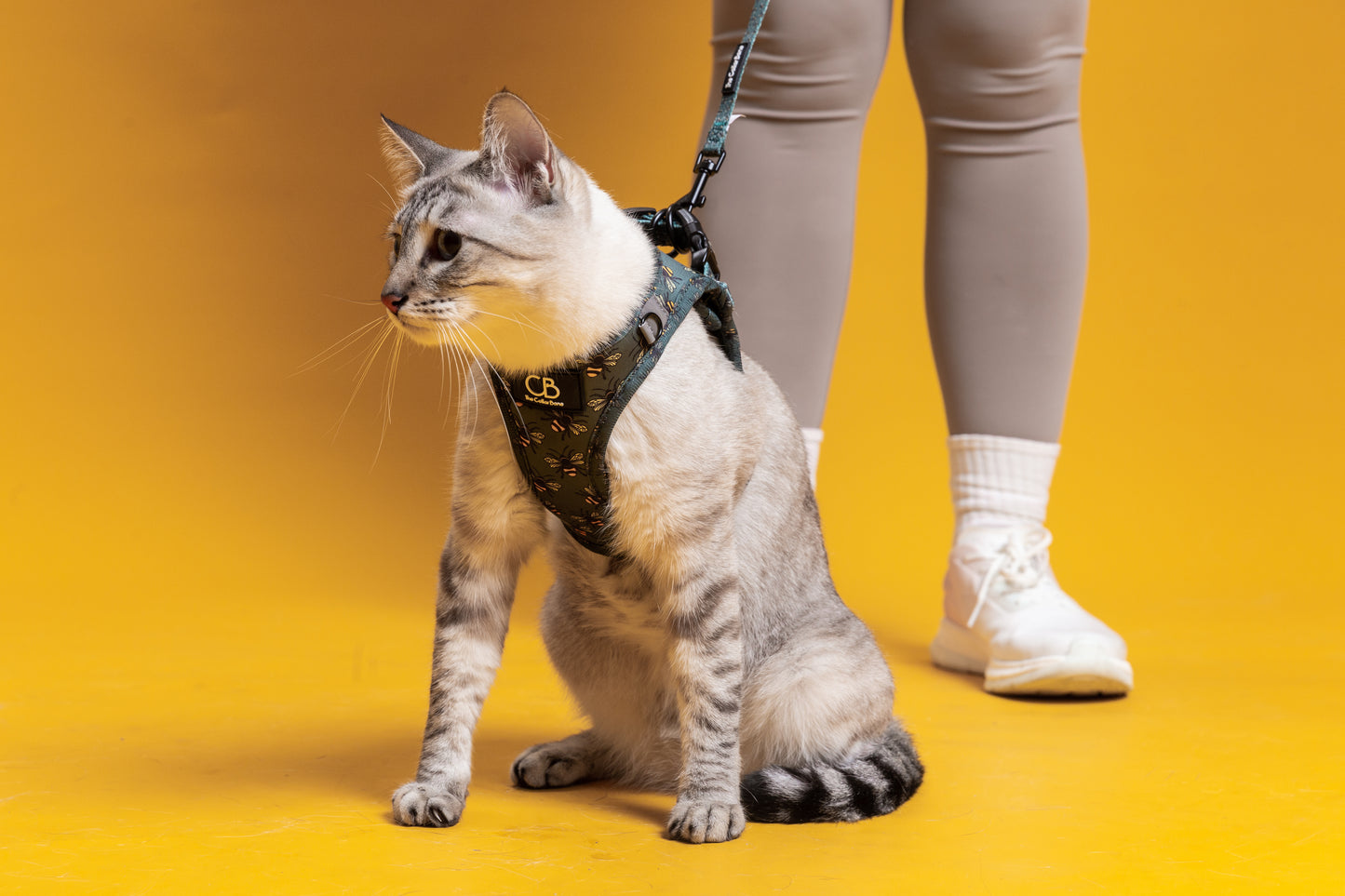 Teeny Step-In Vest/Harness in Forest Bee