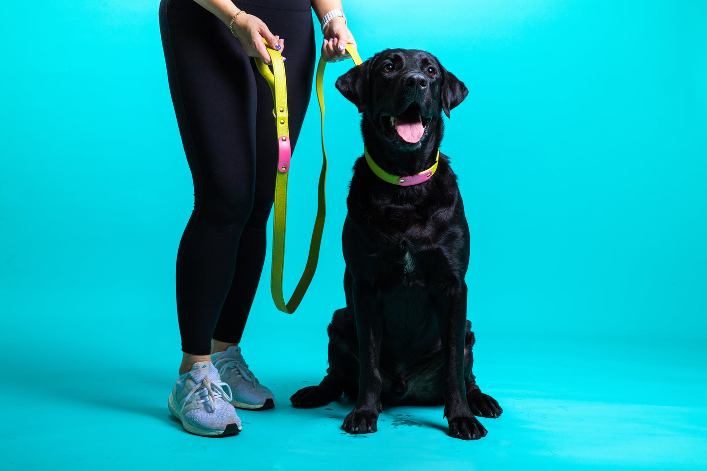 Zuri Faux Leather Cat/Dog Collar in Lime Green
