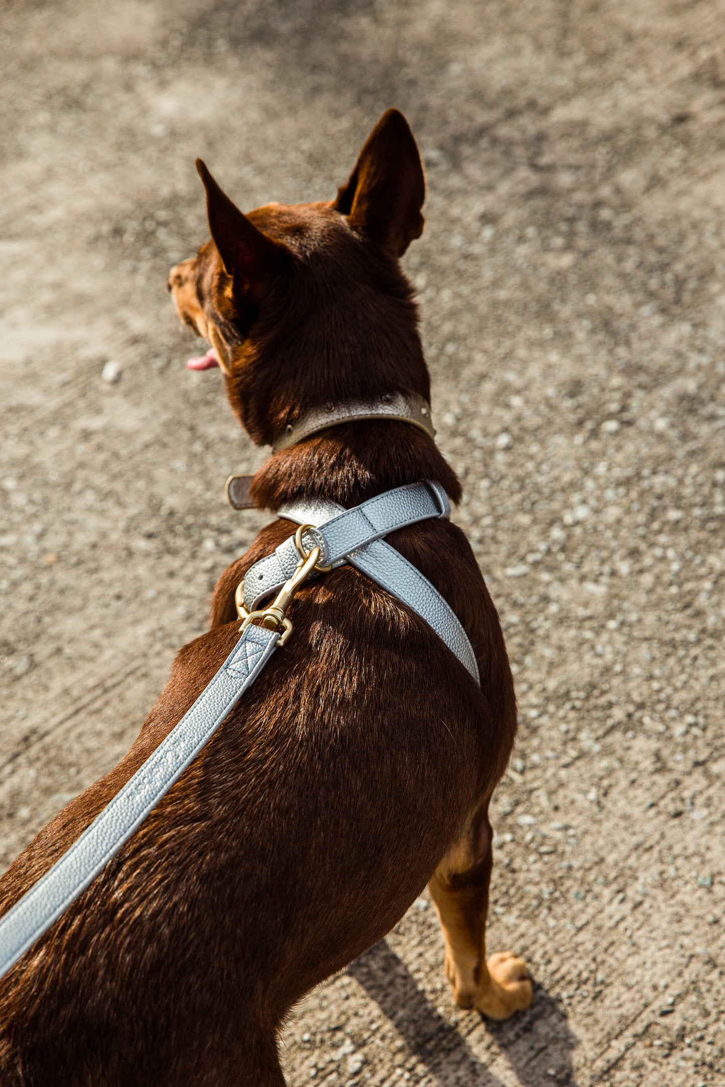 Zaara Vegan Leather Harness in Shimmering Silver