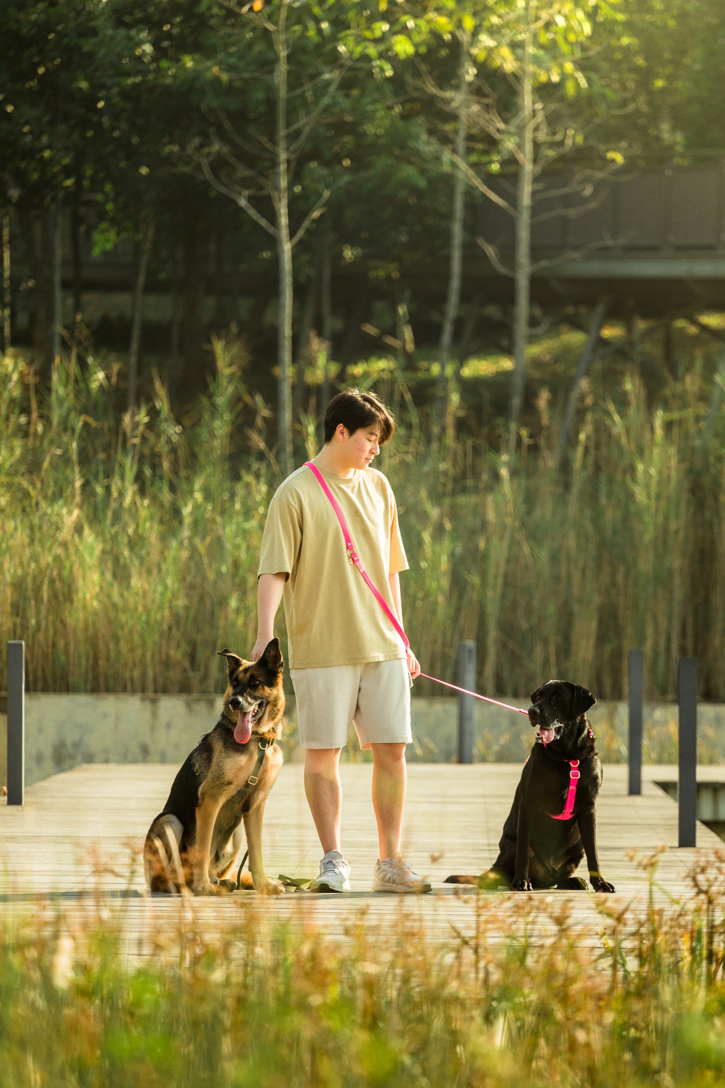 Oceane Waterproof Multiway Leash - Neon Pink