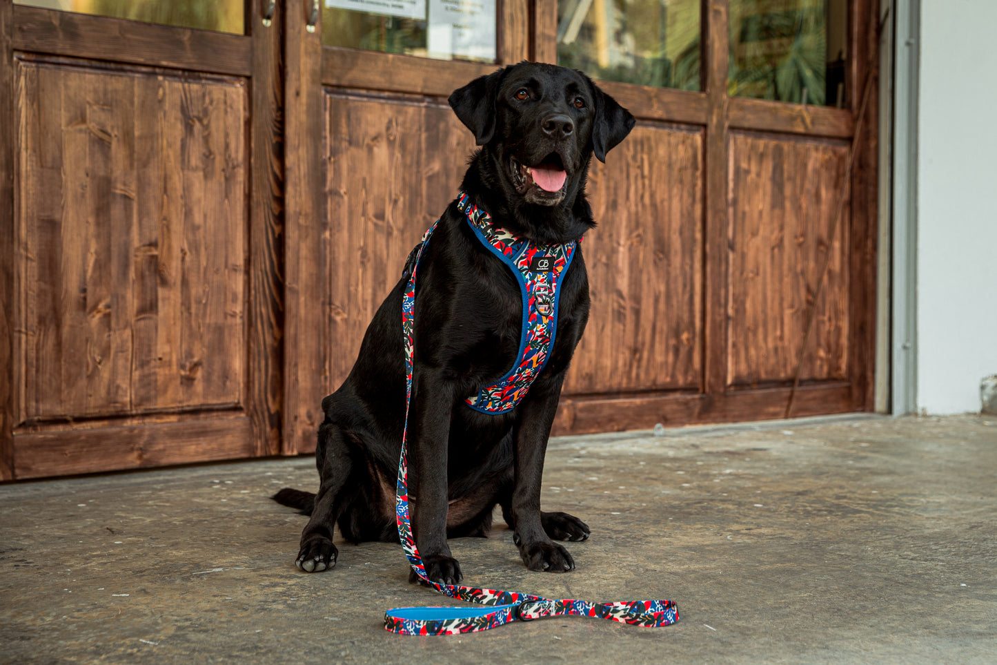 Oxford Active No-Pull Harness in Mirage