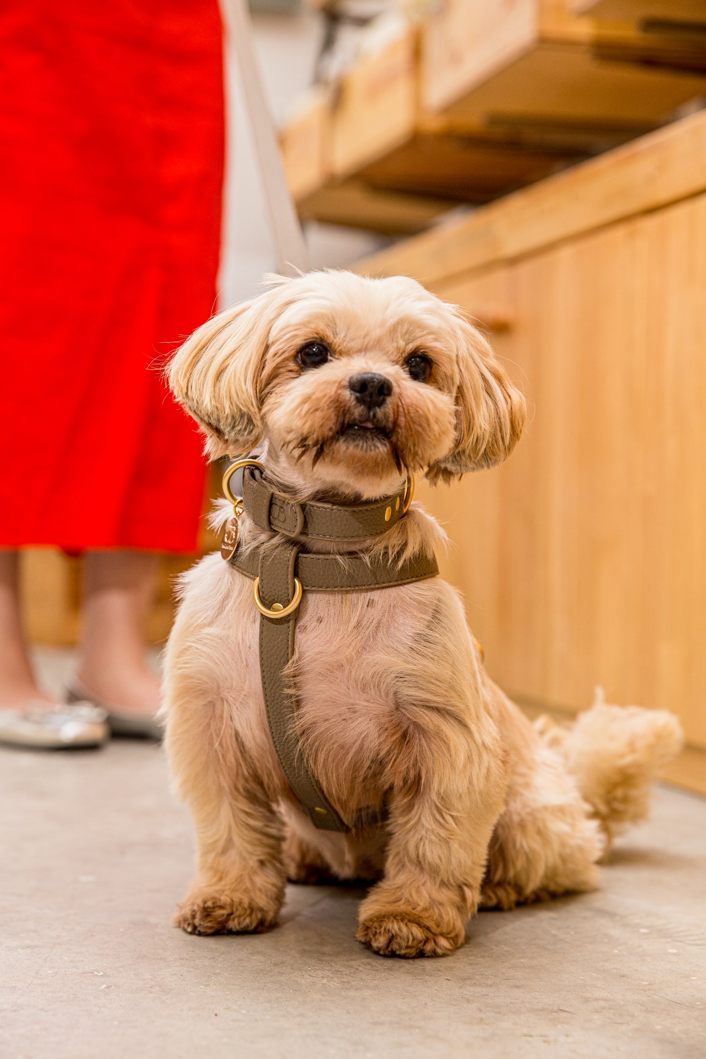 Zaara Vegan Leather Harness in Tan Brown