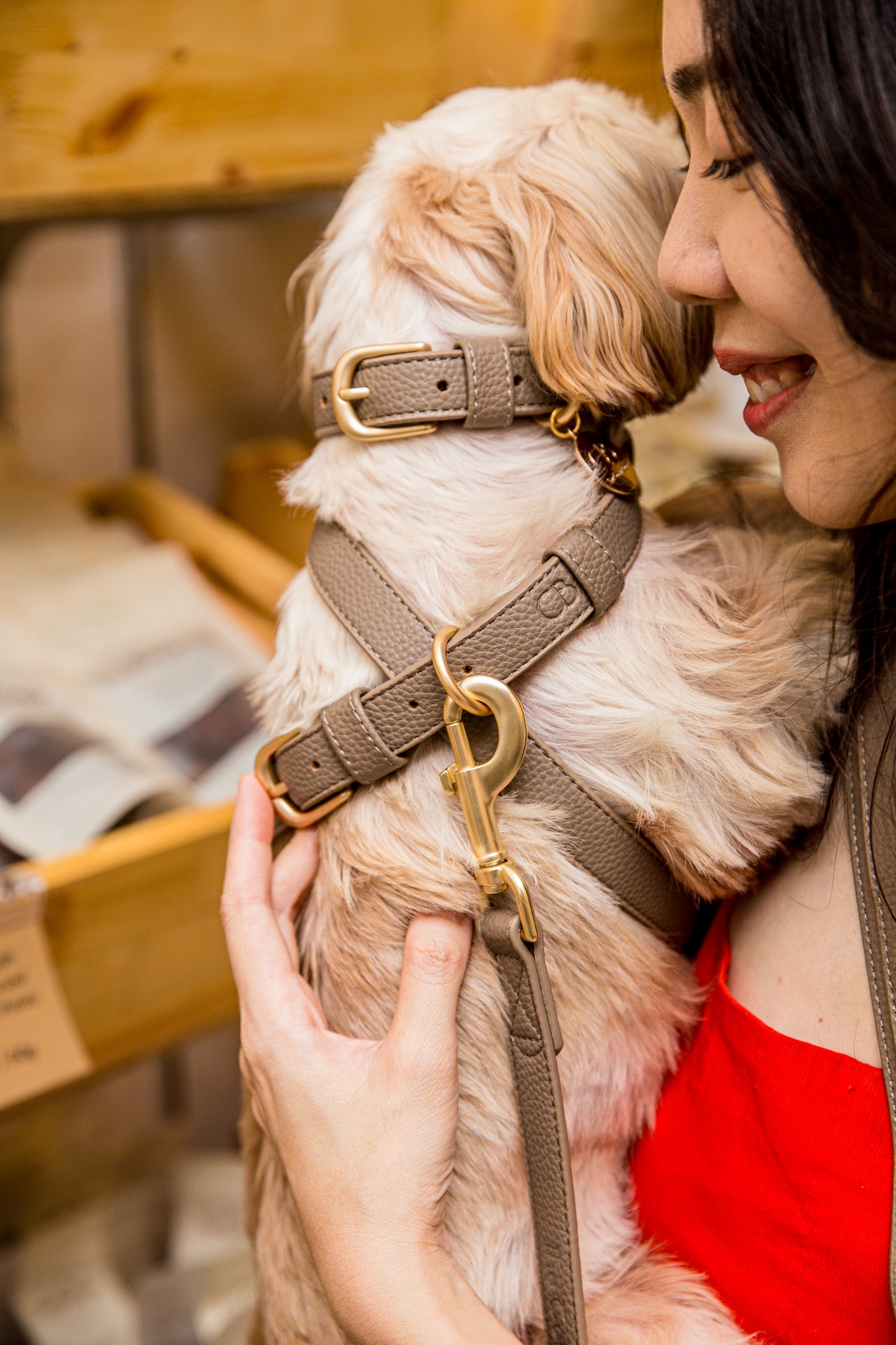 Zaara Vegan Leather Harness in Tan Brown