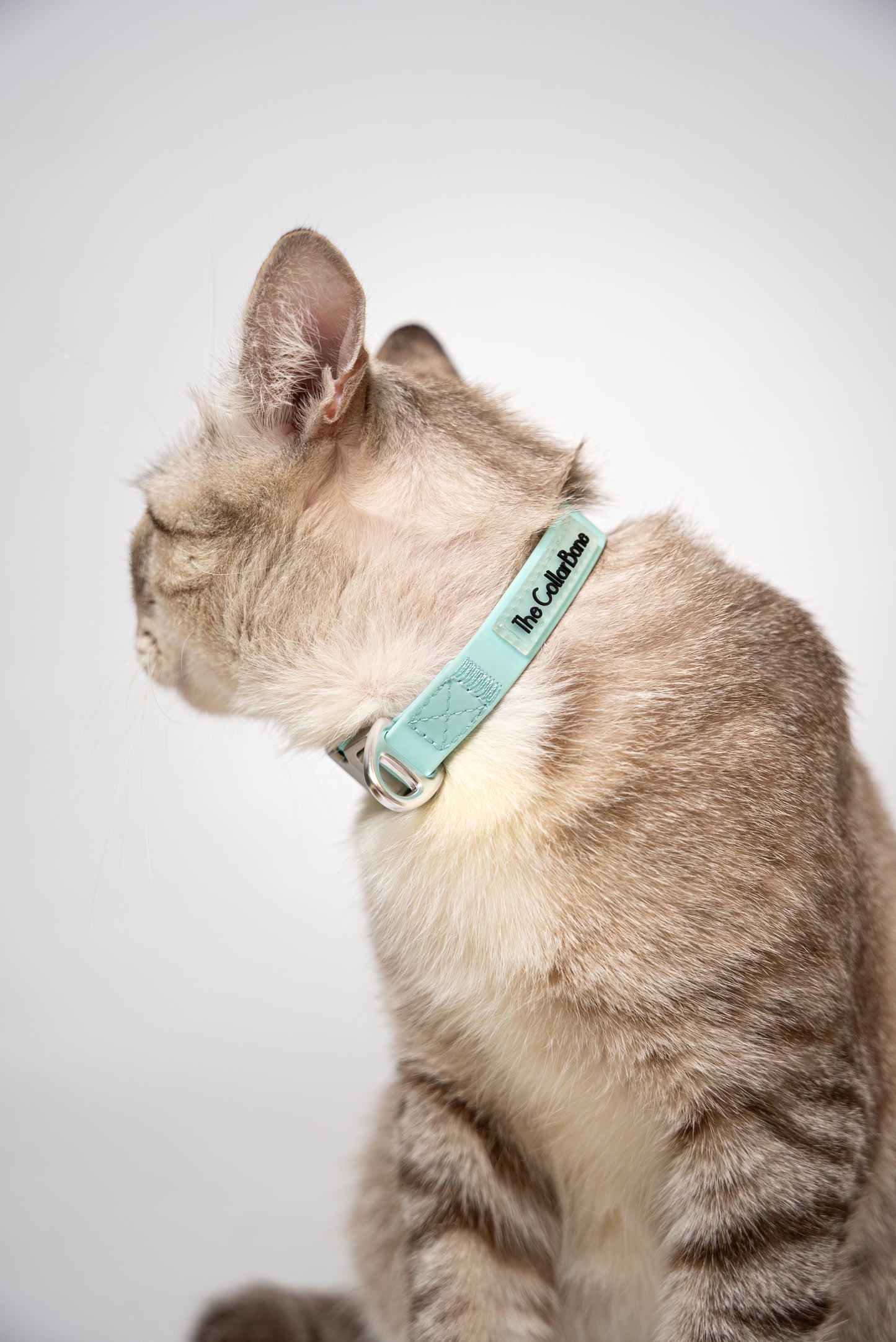 Oceane 2.0 Waterproof XS Collar in Tiffany's Afterglow (Glow-in-the-Dark Blue) - suitable for cats and small dogs