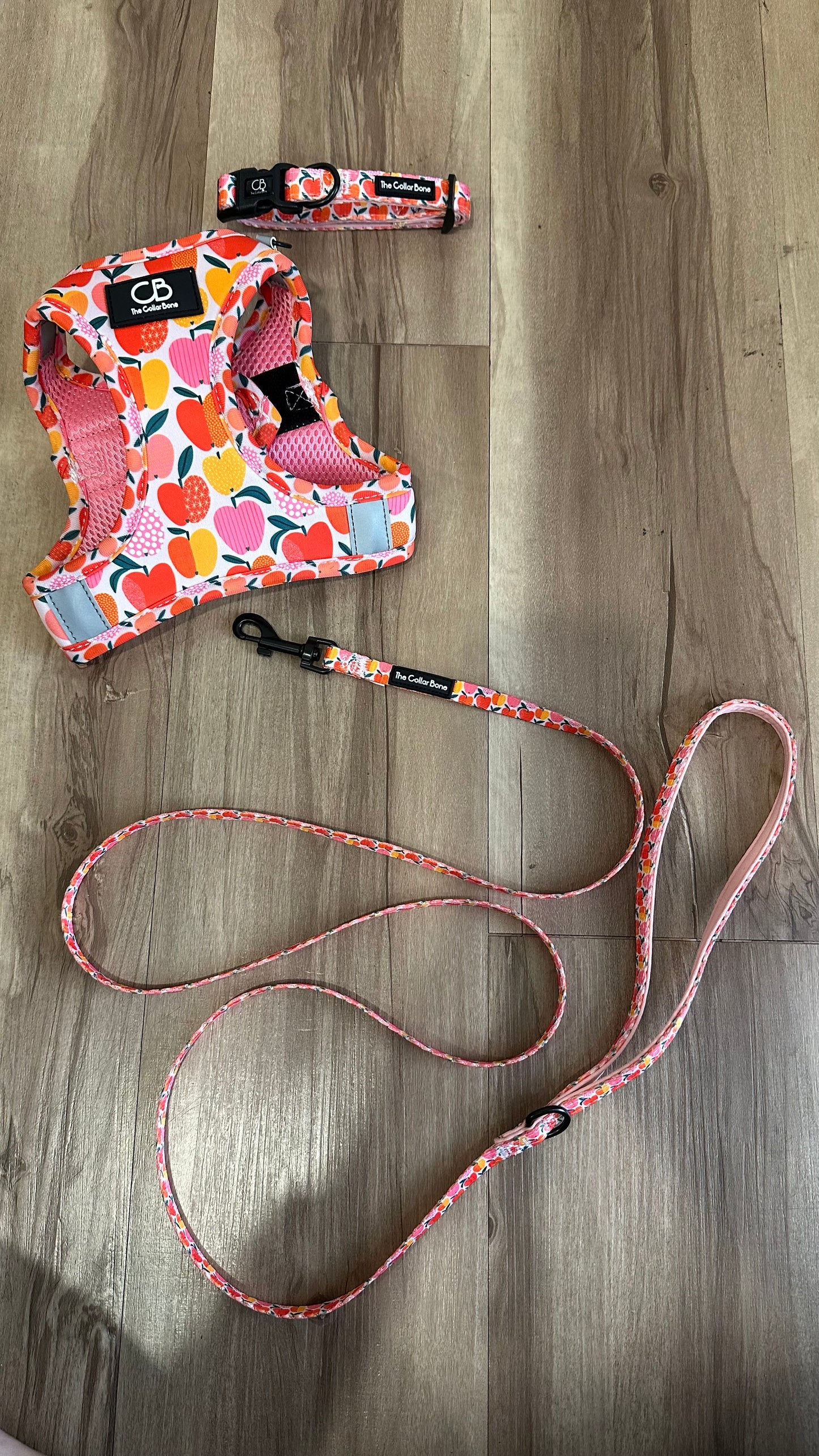 Teeny Step-In Vest/Harness in Apple of My Eye