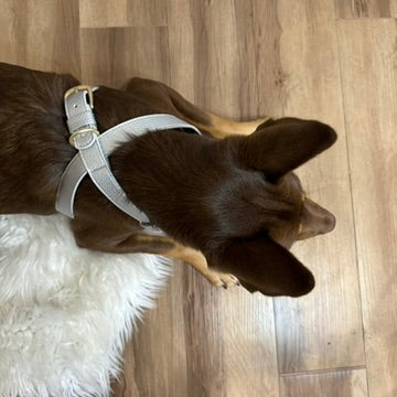 Zaara Vegan Leather Harness in Shimmering Silver