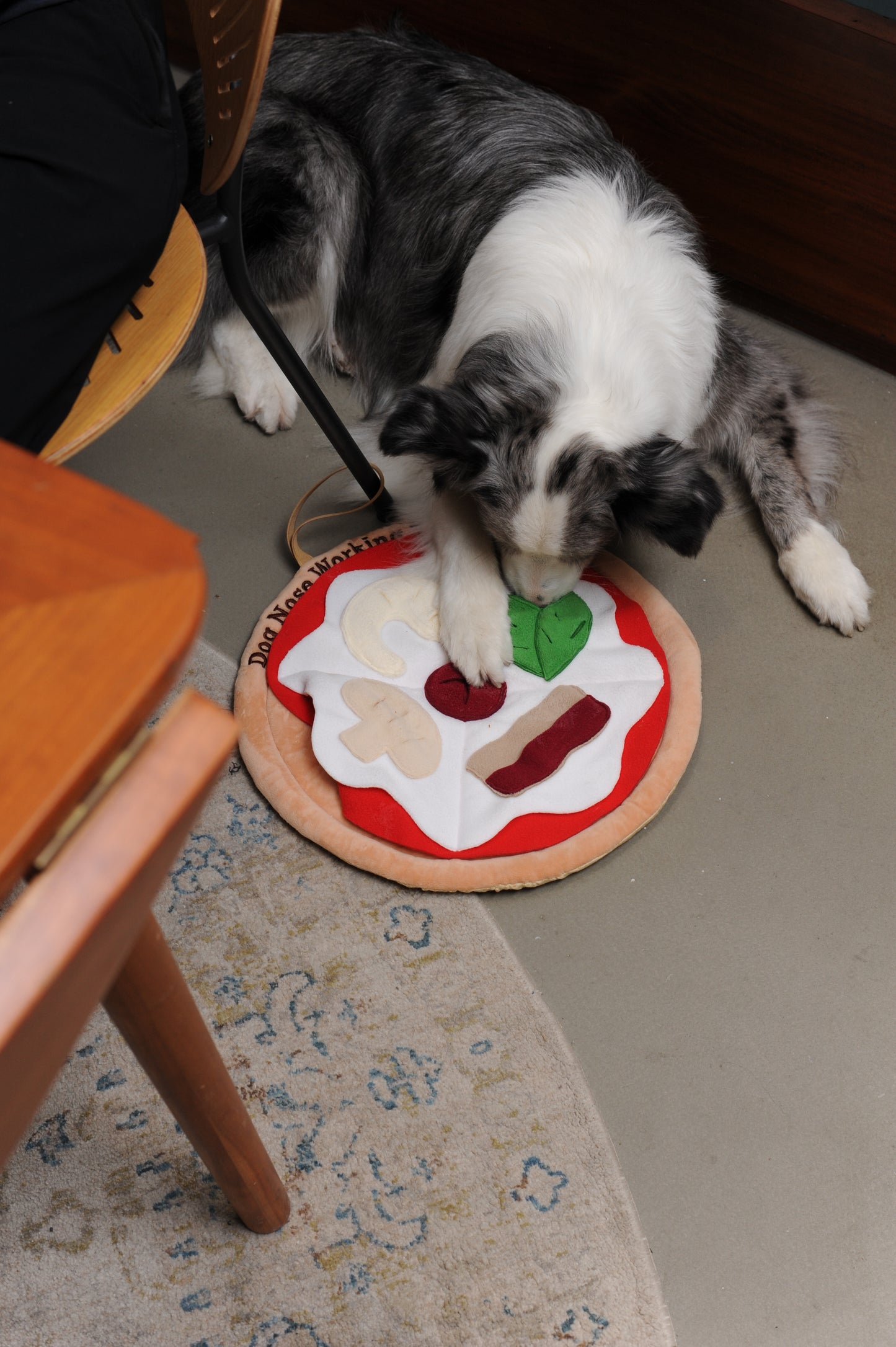 V-Pet Pizza Sniffing Mat