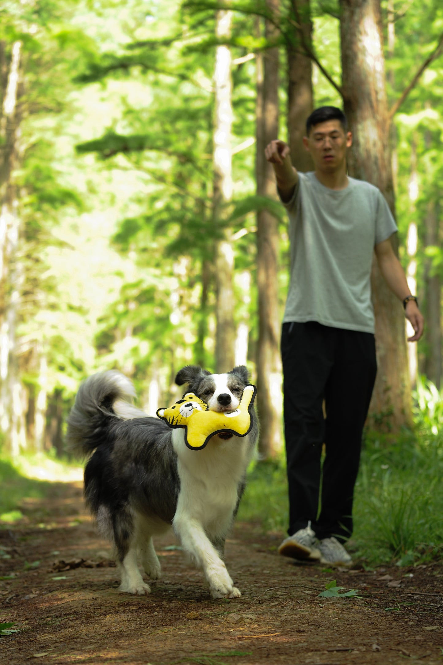 V-Pet Rough & Tough No Hunting Collection - Tiger