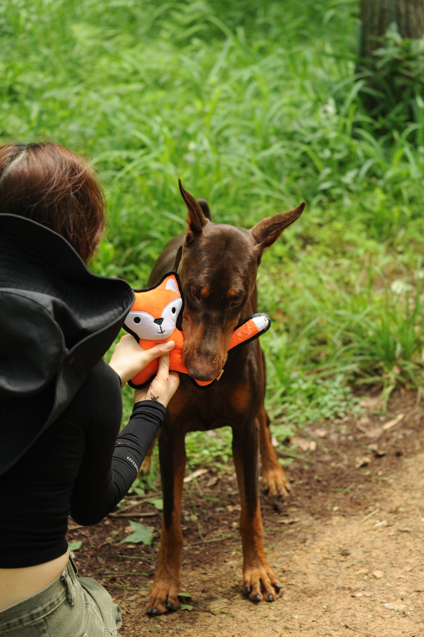 V-Pet Rough & Tough No Hunting Collection - Fox