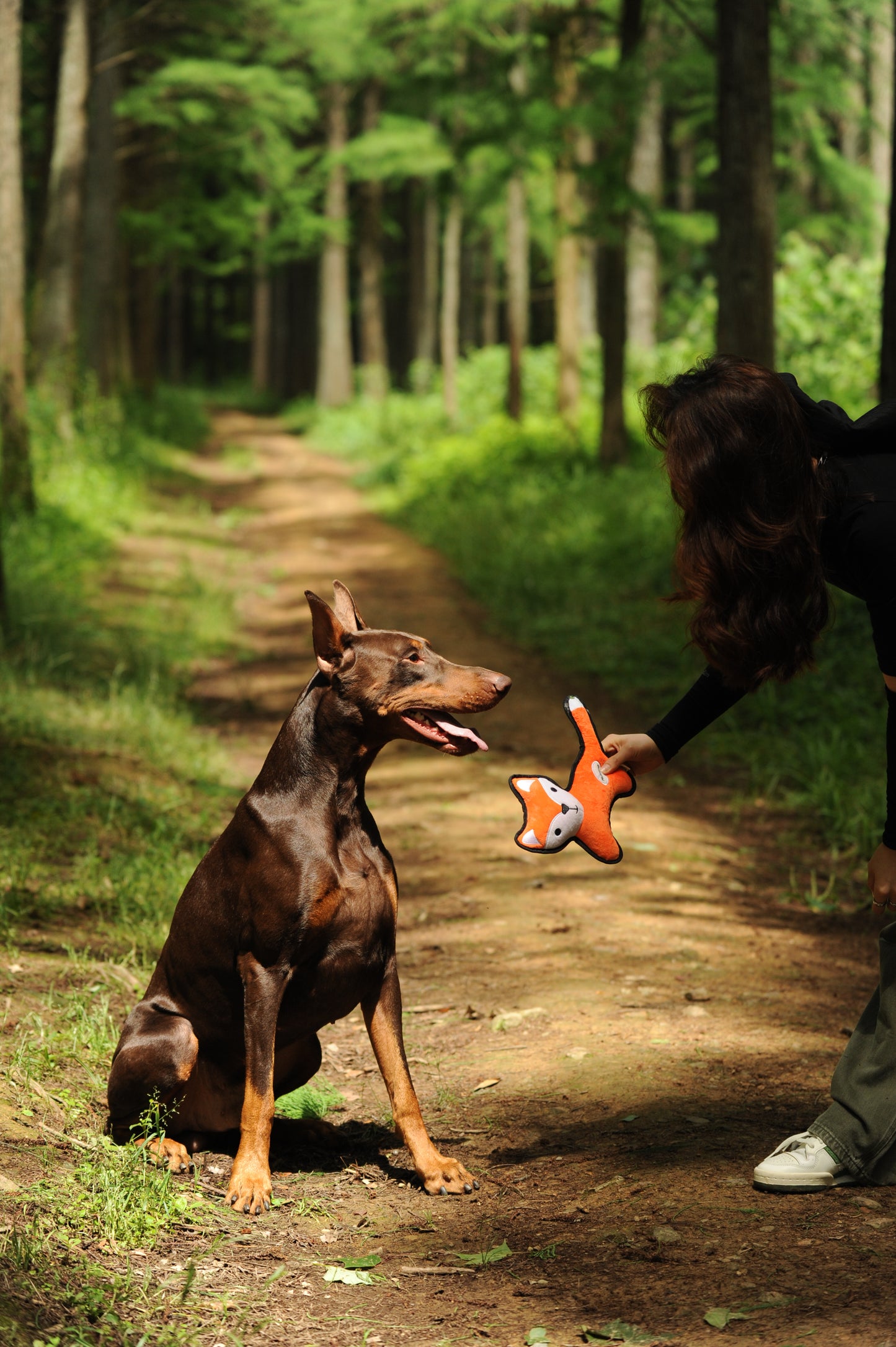 V-Pet Rough & Tough No Hunting Collection - Fox