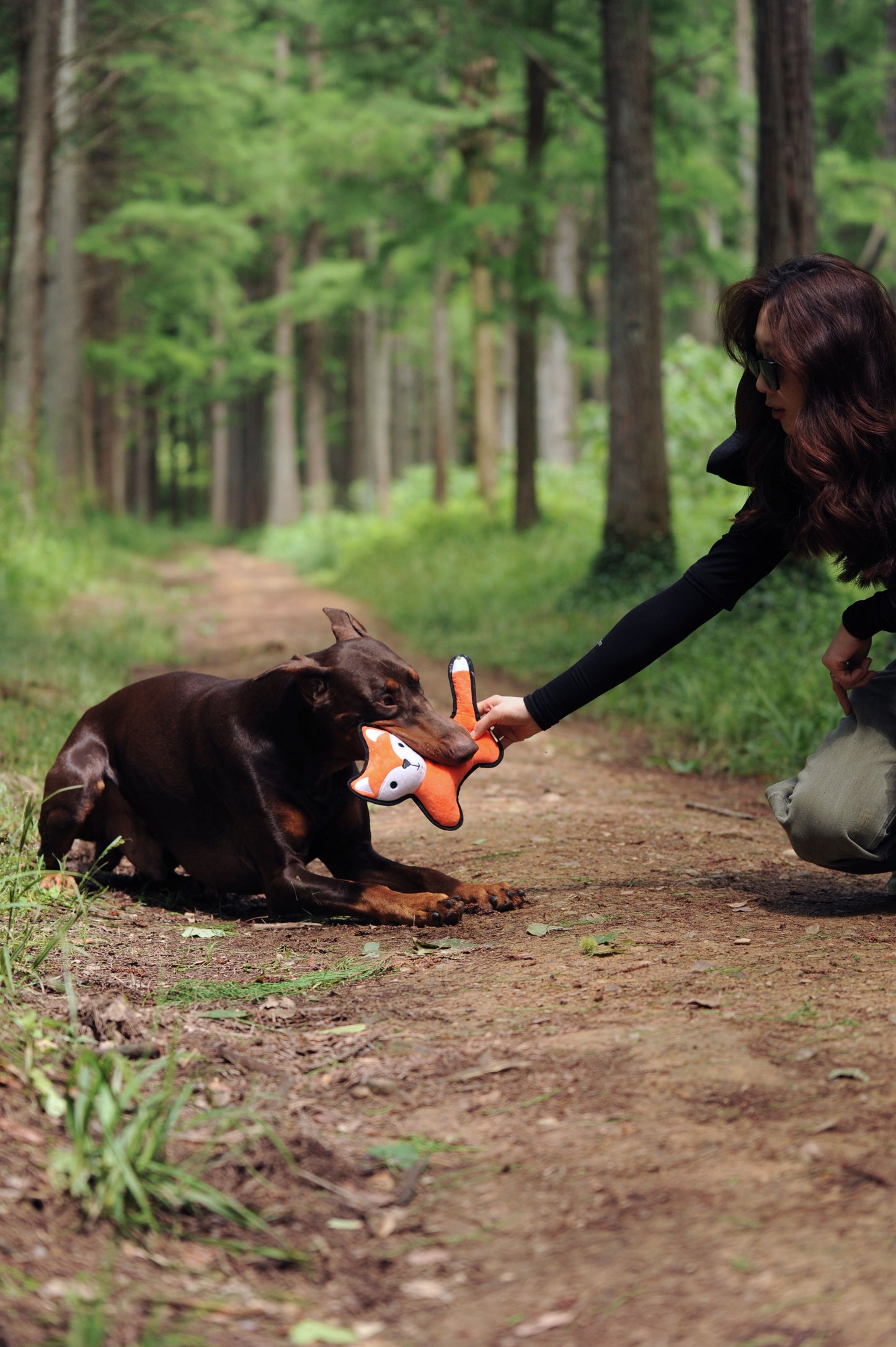 V-Pet Rough & Tough No Hunting Collection - Fox