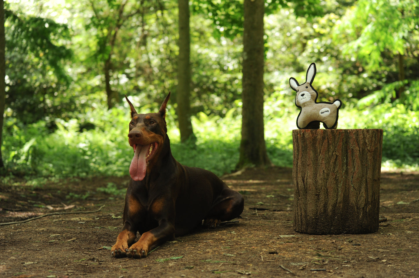 V-Pet Rough & Tough No Hunting Collection - Rabbit