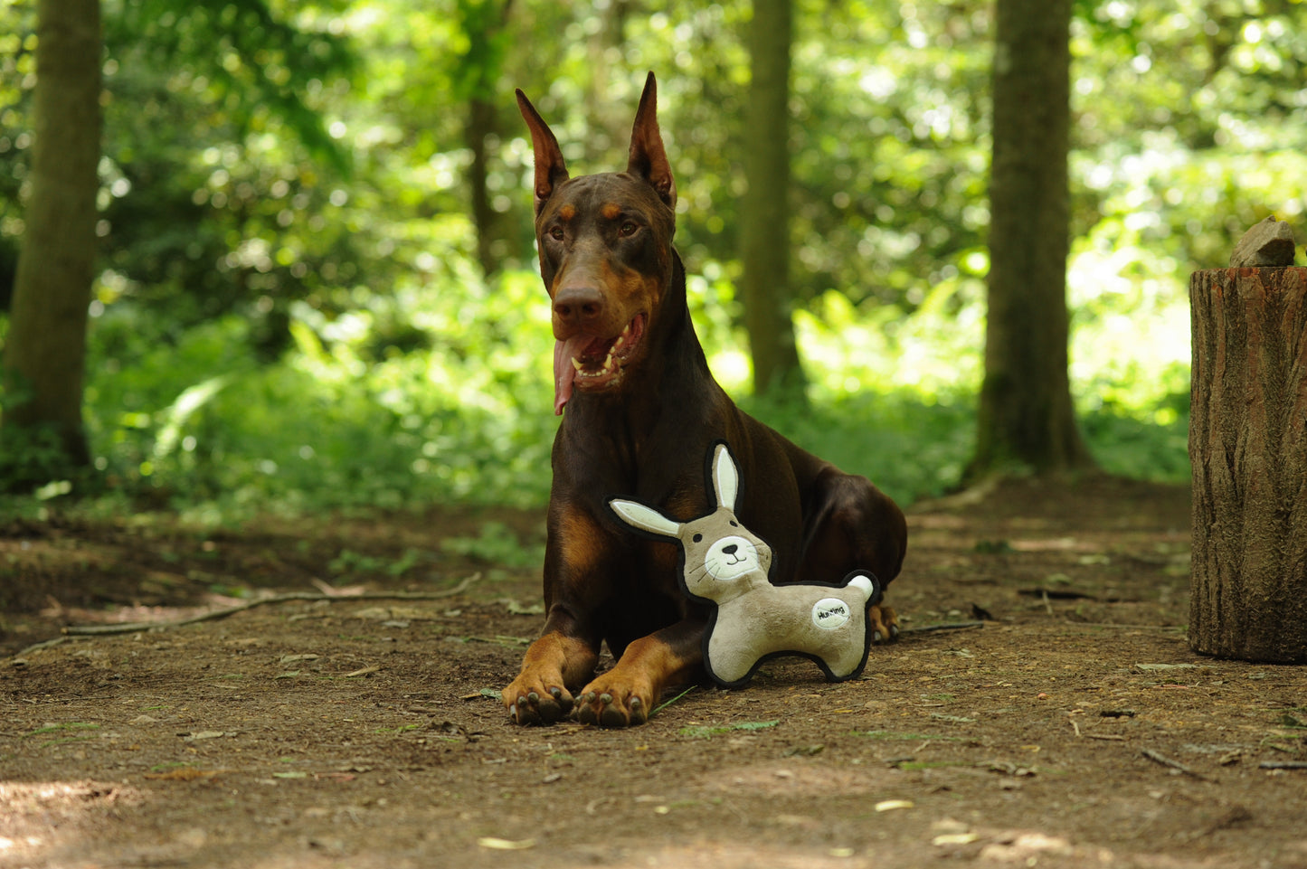 V-Pet Rough & Tough No Hunting Collection - Rabbit