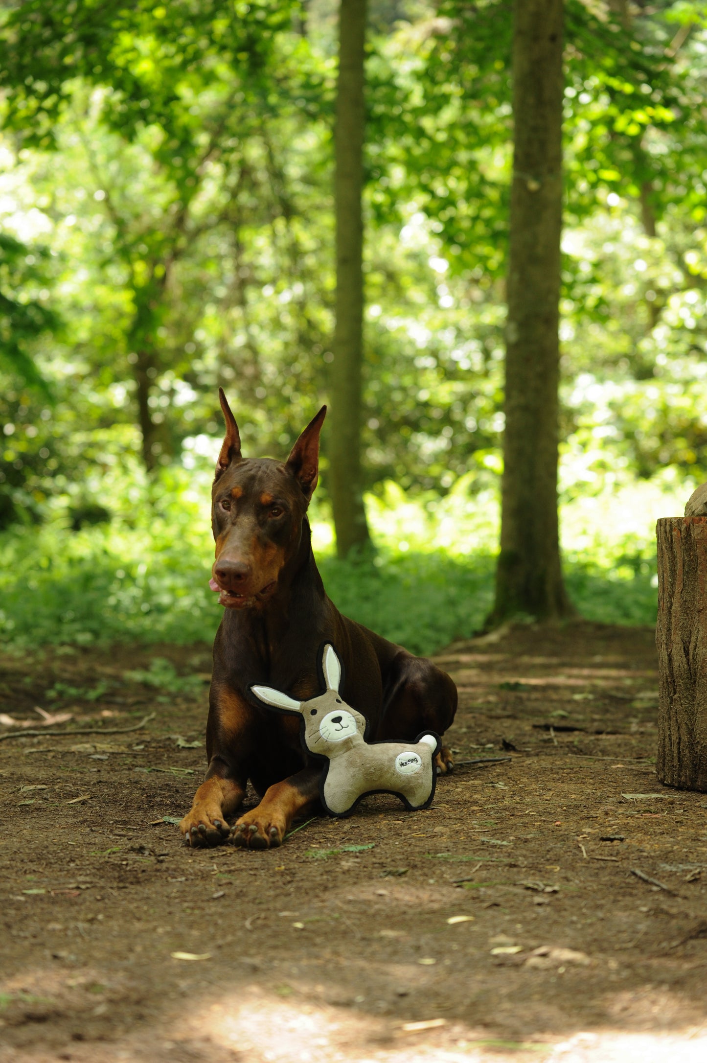 V-Pet Rough & Tough No Hunting Collection - Rabbit