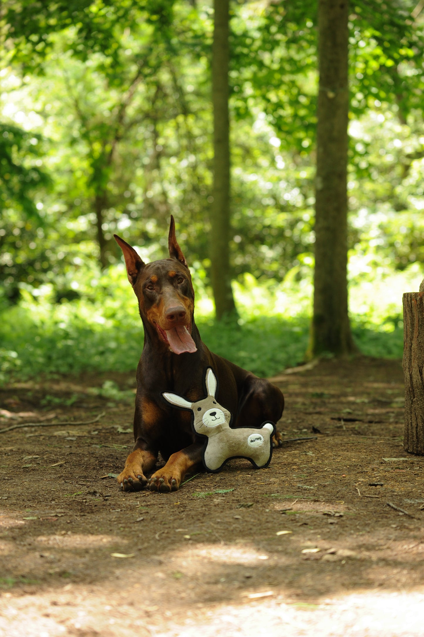 V-Pet Rough & Tough No Hunting Collection - Rabbit