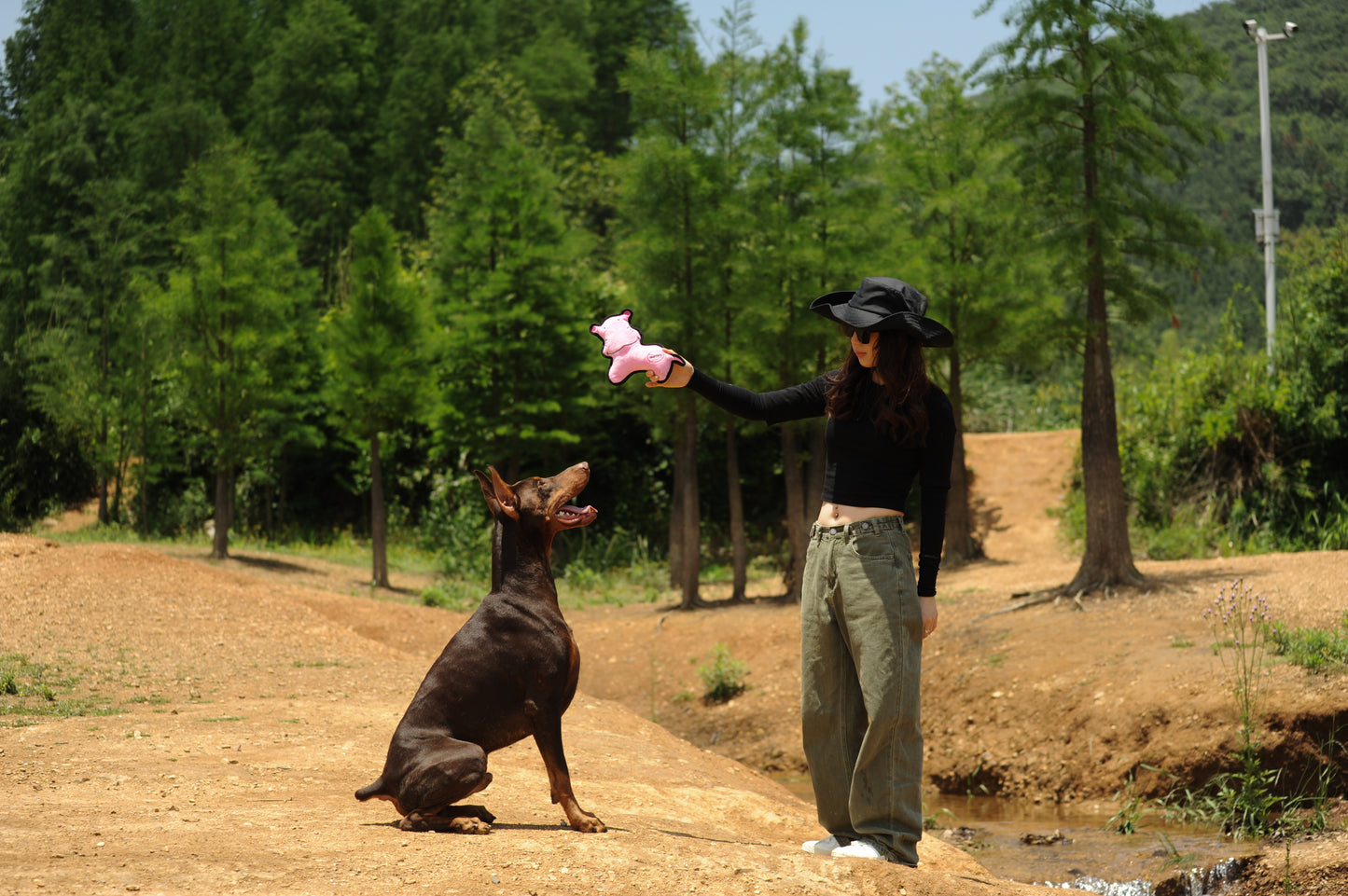 V-Pet Rough & Tough No Hunting Collection - Hippo