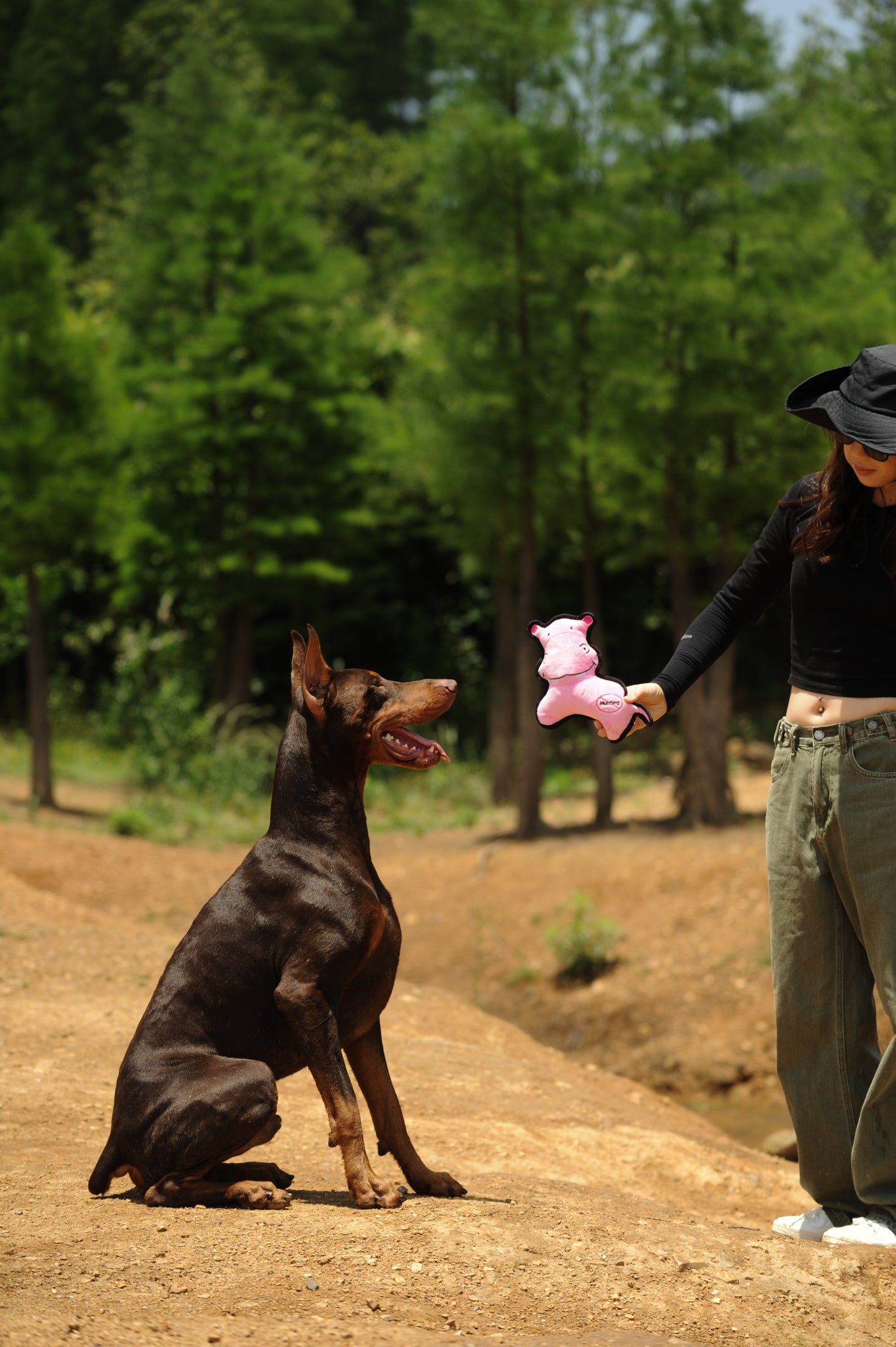 V-Pet Rough & Tough No Hunting Collection - Hippo