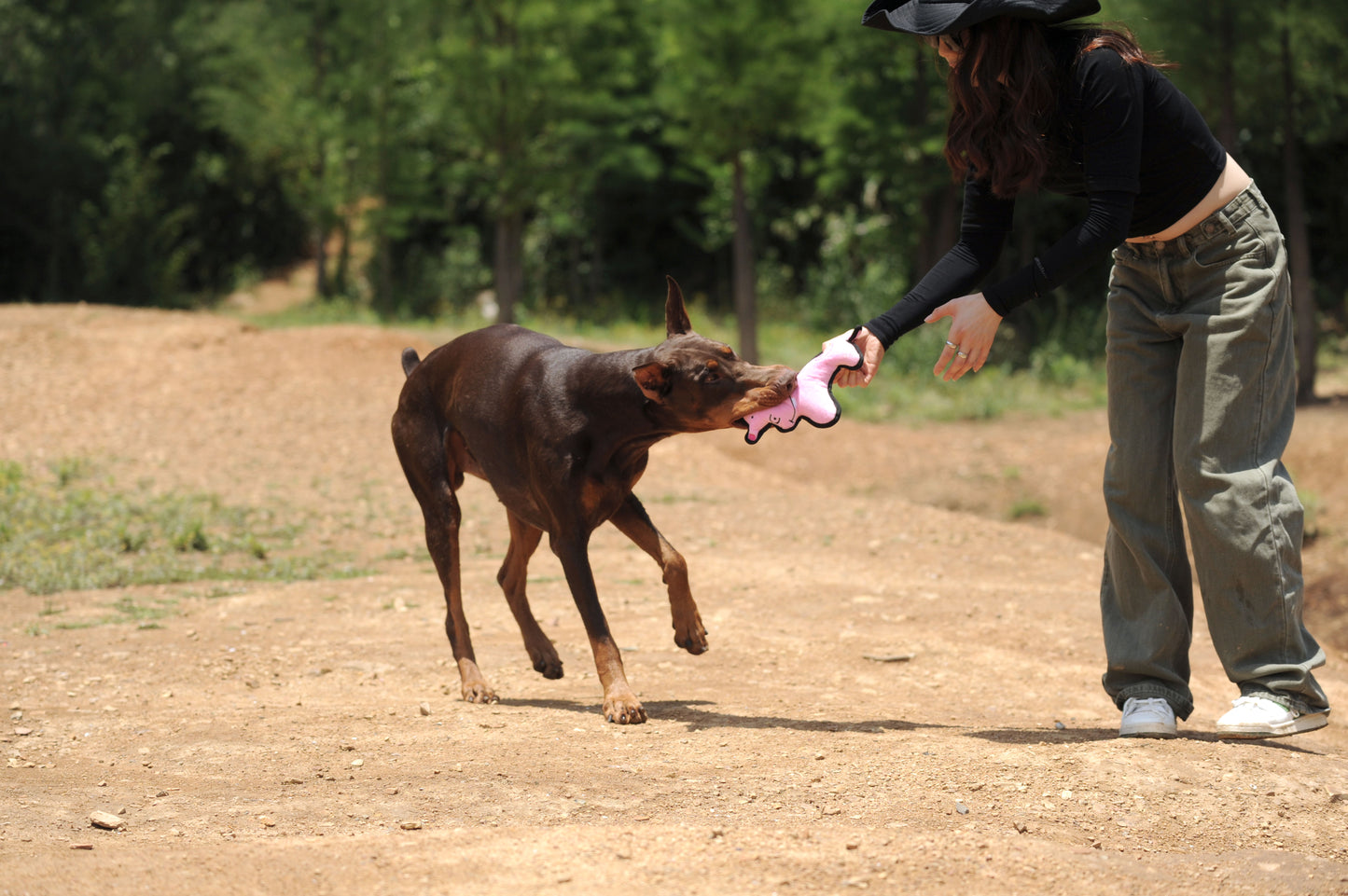 V-Pet Rough & Tough No Hunting Collection - Hippo