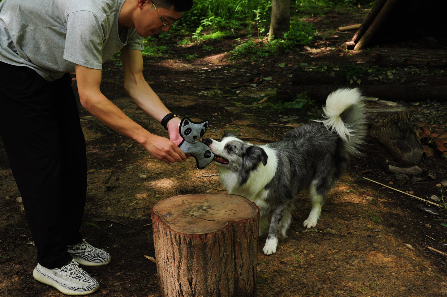 V-Pet Rough & Tough No Hunting Collection - Coati