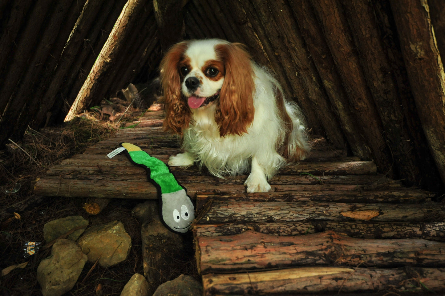 V-Pet Rough & Tough Welcome to the Jungle Collection - Rattlesnake