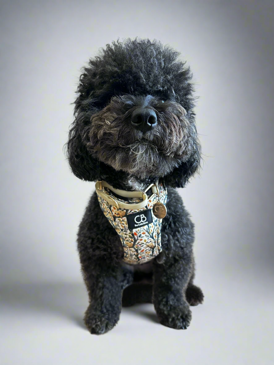 Teeny Step-In Vest/Harness in Sluggish Sloth