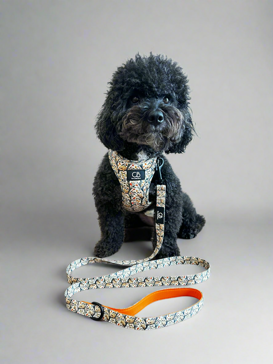 Classic Leash in Sluggish Sloth