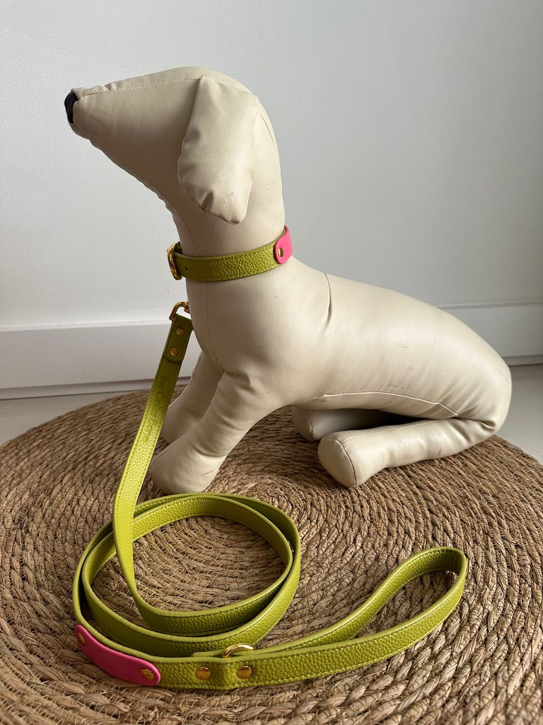 Zuri Faux Leather Cat/Dog Collar in Lime Green