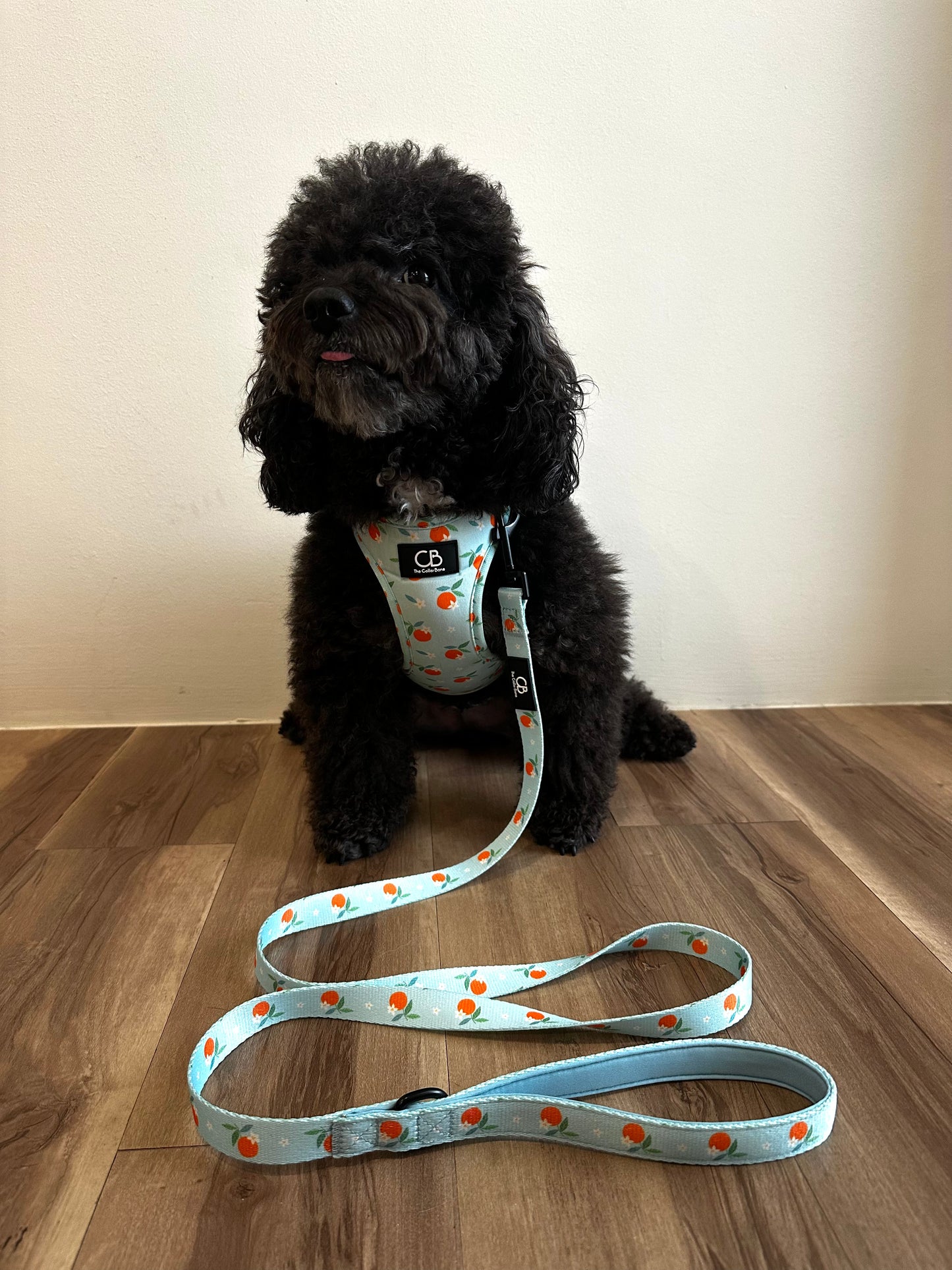 Teeny Step-In Vest/Harness in Clementine Crush