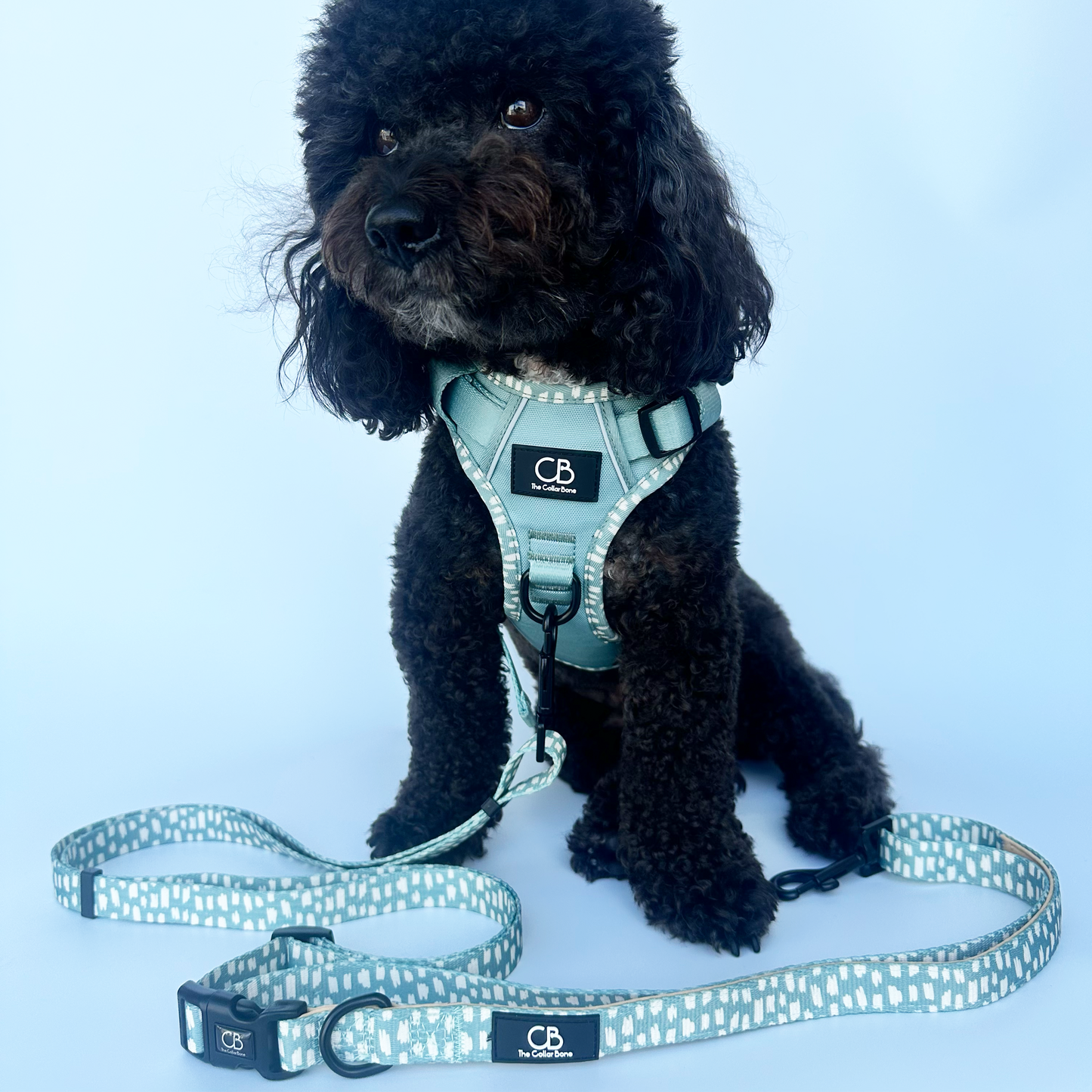 Oxford Active No-Pull Harness in Sage Green