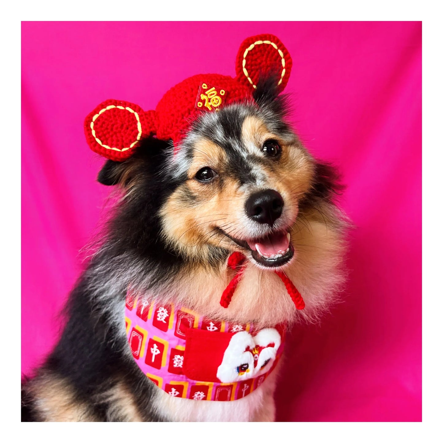 Lolly & Laine Crochet Hats (Size XS)