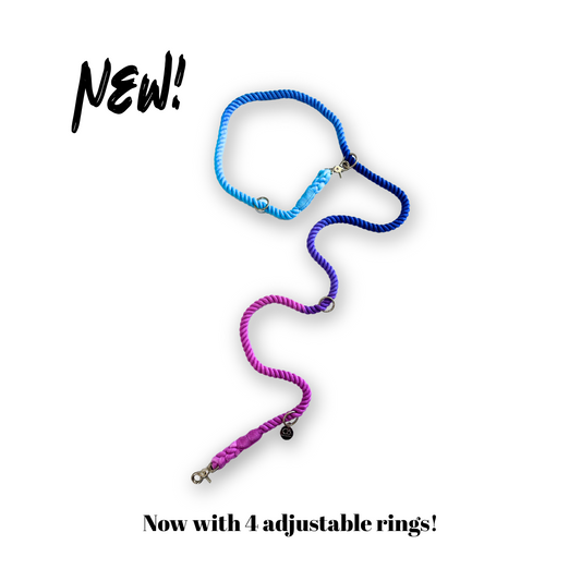 Knotty Multiway Handsfree Training Rope Leash in Ombre Pink Blue Purple