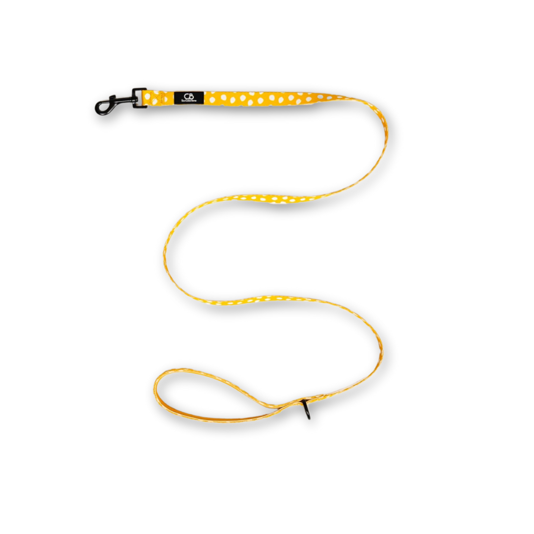 Classic Leash in Mustard & Mayo