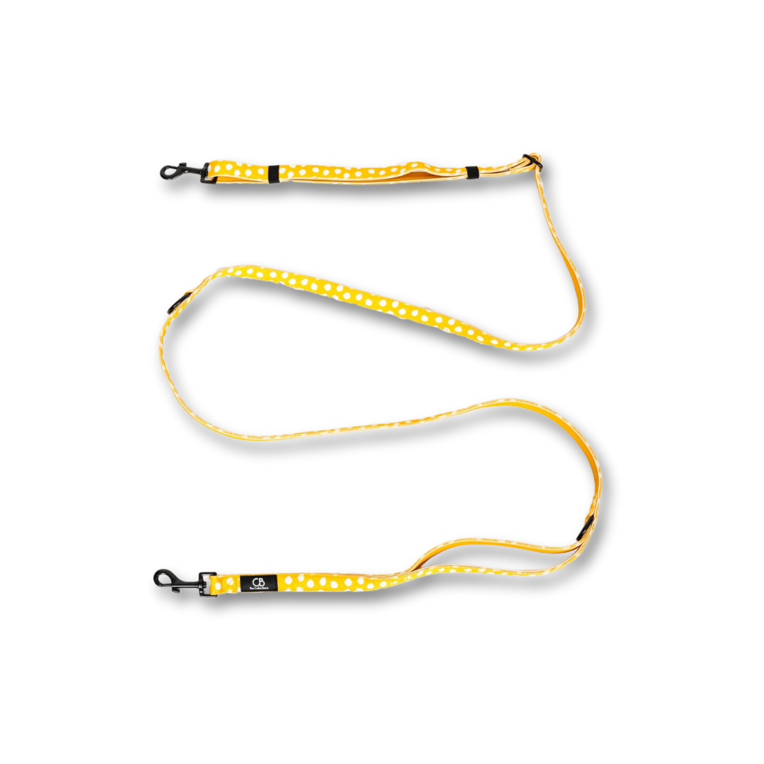 Brighton Multiway Handsfree Leash in Mustard & Mayo