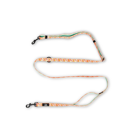 Brighton Multiway Handsfree Leash in Metamorphosis