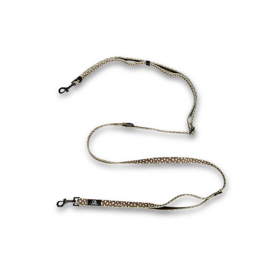 Brighton Multiway Handsfree Leash in Almonds in Olive