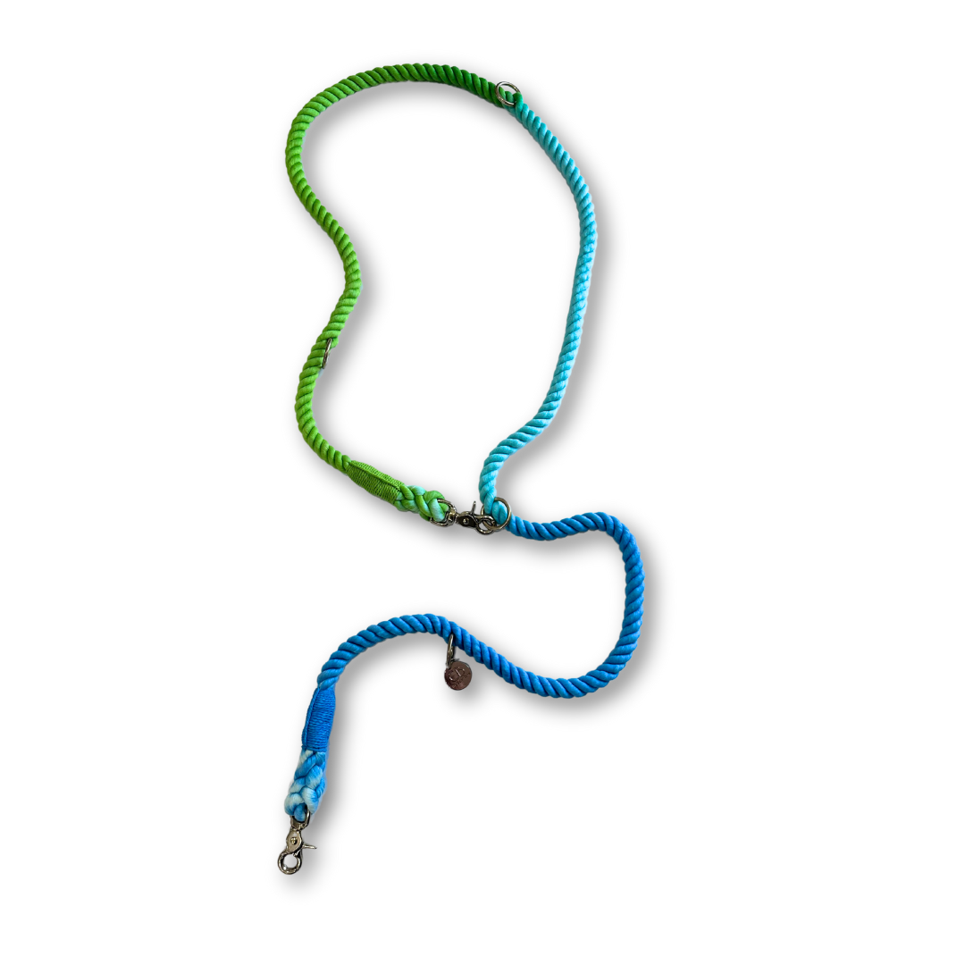 Knotty Multiway Handsfree Training Rope Leash in Ombre Blue Green