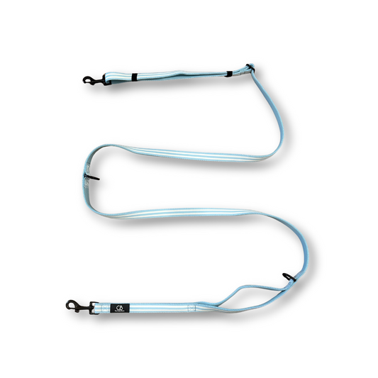 Brighton Multiway Handsfree Leash in Coastal Blue (Stripes)